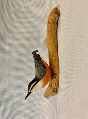 Al Klein Nuthatch.jpeg
