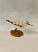 Peter Peltz Sanderling.jpeg