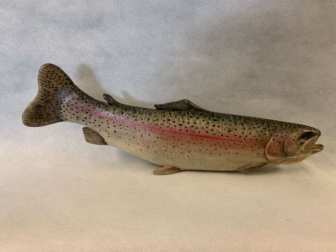 Rainbow Trout