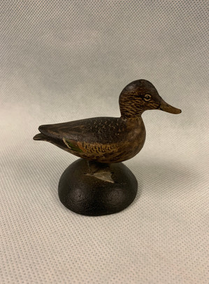 Miniature Pintail Hen
