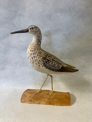 Jansson Yellowlegs .jpeg