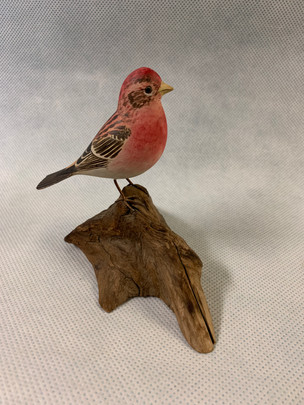 Morse mini Purple Finch.jpeg