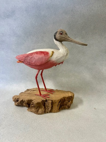 Sparre Spoonbill.jpeg