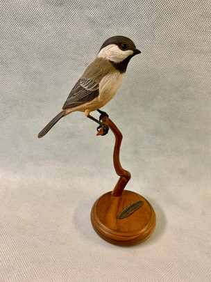 Bud Haines Chickadee.jpeg