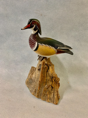 William Schultz Wood Duck.jpeg