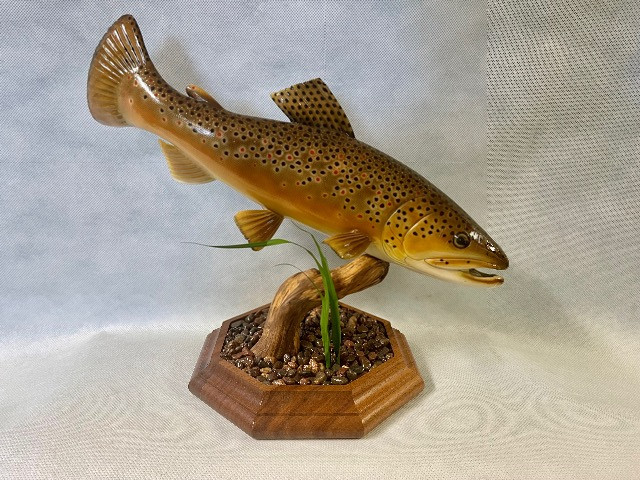 Brown Trout.jpeg