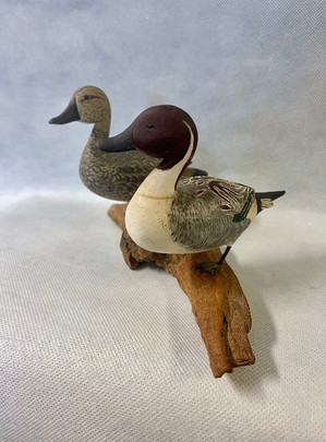 G Clark Pintails.jpeg
