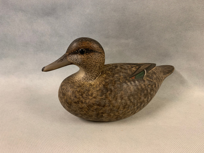 Collins Green-Winged Teal.jpeg