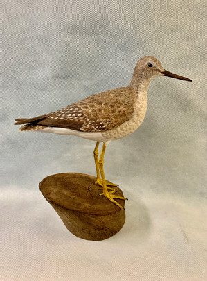 Reid Higgins Yellowlegs.jpeg