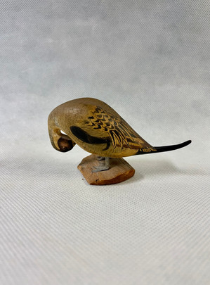 Ahearn Pintail.jpeg