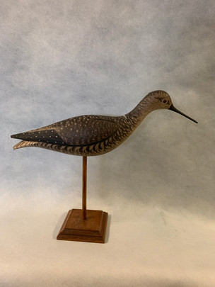 Willet
