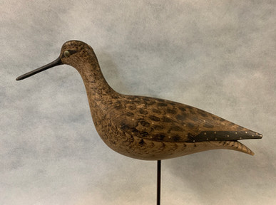 Willet