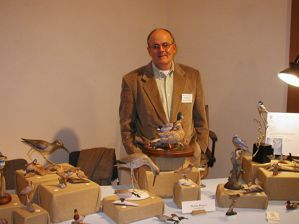 Steve with Display