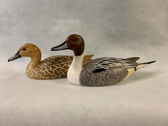 Robert Kerr Pintails.jpeg