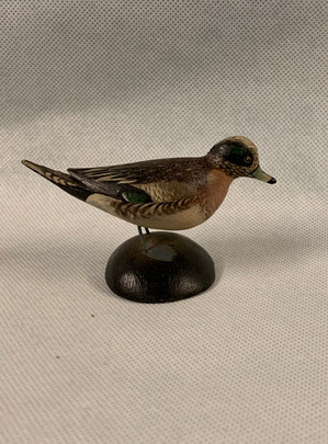 Wigeon