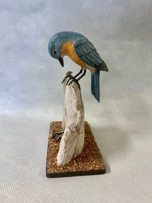 Sparre Bluebird.jpeg