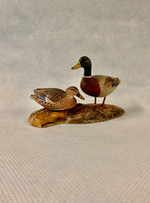 A.J.King Mallards.jpeg
