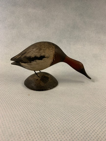 Miniature Canvasback