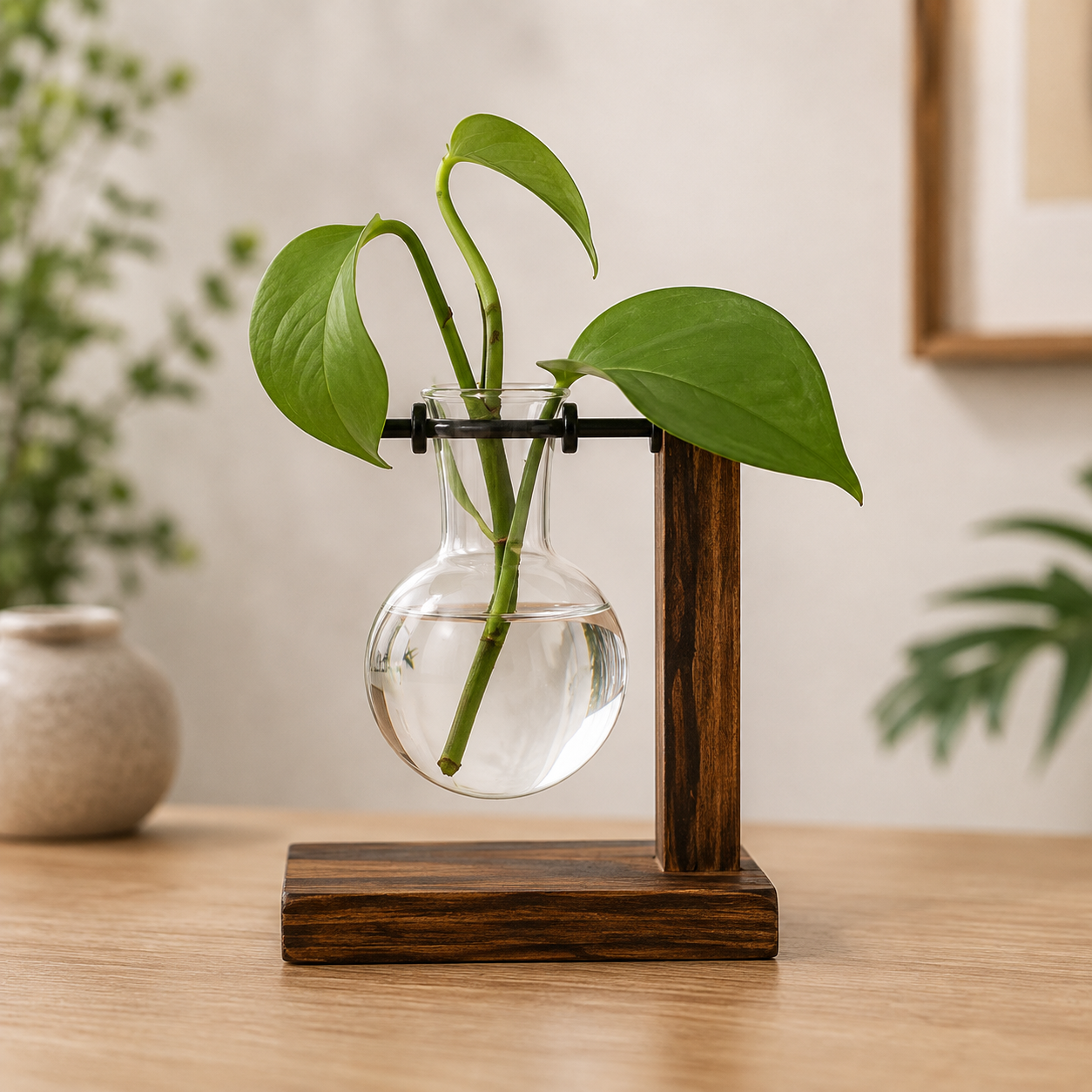 Terrário Hidropônico Simples de Vidro