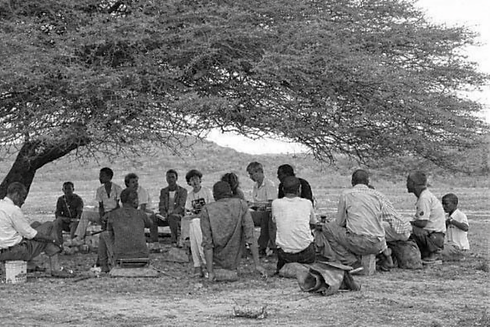 Gathering under the acacia tree.png