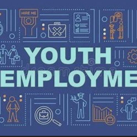 Breaking Barriers: Tackling Youth Unemployment and Shifting Work Culture in The Gambia Youth 