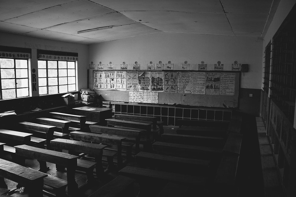 photo-1569098272619-0712bf6a83f0.jpeg