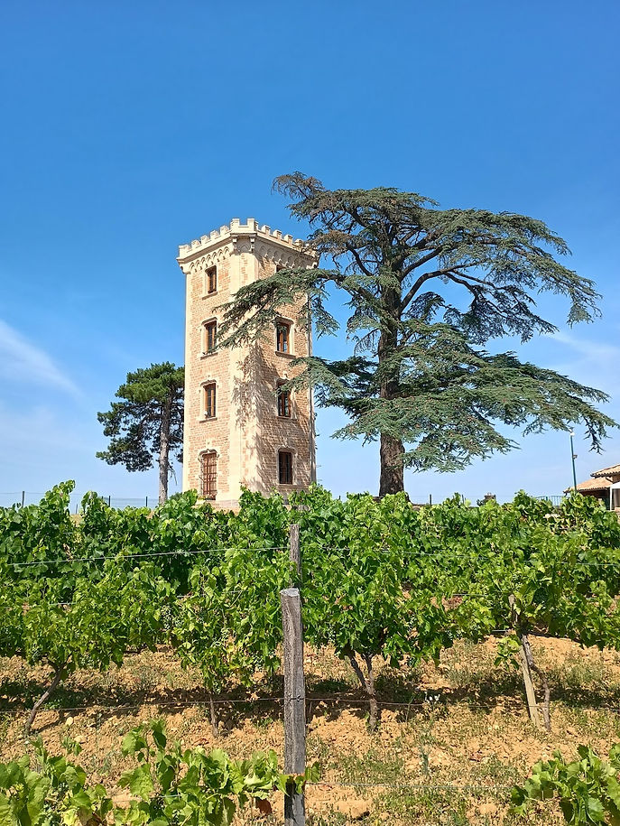 Tour du Boujard_2.jpg