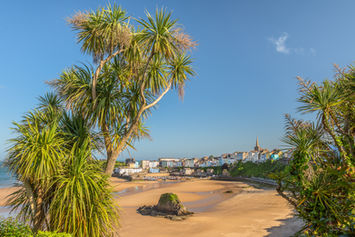 Blick auf den Strand von Tenby mit Palmen im Vordergrund