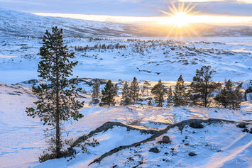 Verschneite Winterlandschaft in Skandinavien bei Sonnenuntergang