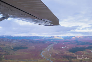 Flug über die herbstliche Tundra Alaskas mit Flusslauf