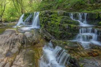 Kleiner Wasserfall fließen über moosbedeckte Felsen im Wald