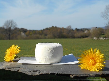 DSCN0611.JPG