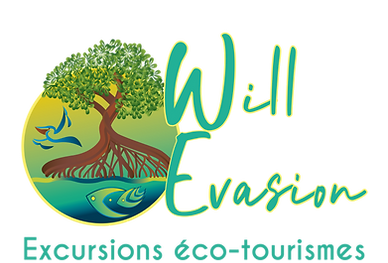 Logo Will Evasion - HD - EcoTourisme 2.png