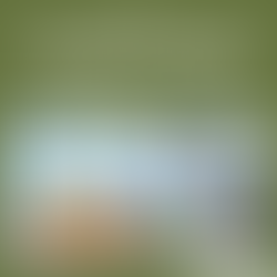 🗓8 DE ABRIL 
DIA INTERNACIONAL DE OPOSICIÓN A LOS ALIMENTOS TRANSGÉNICOS🍅🚫💉