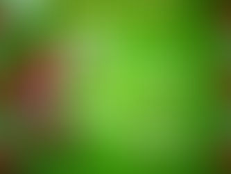 2025 聖誕滾軸溜冰3天速成班 🛼現正招生