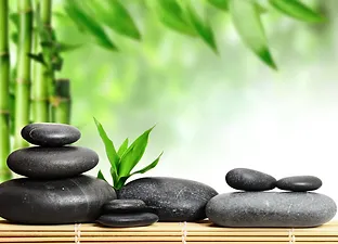New Era Spa 1 Health Wellness Center Acupressure Therapy