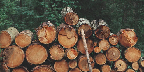 Stacked Wood Logs_edited.jpg
