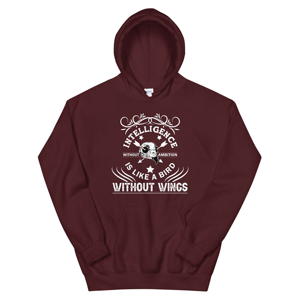 Miniaturbild: Intelligence Hoodie