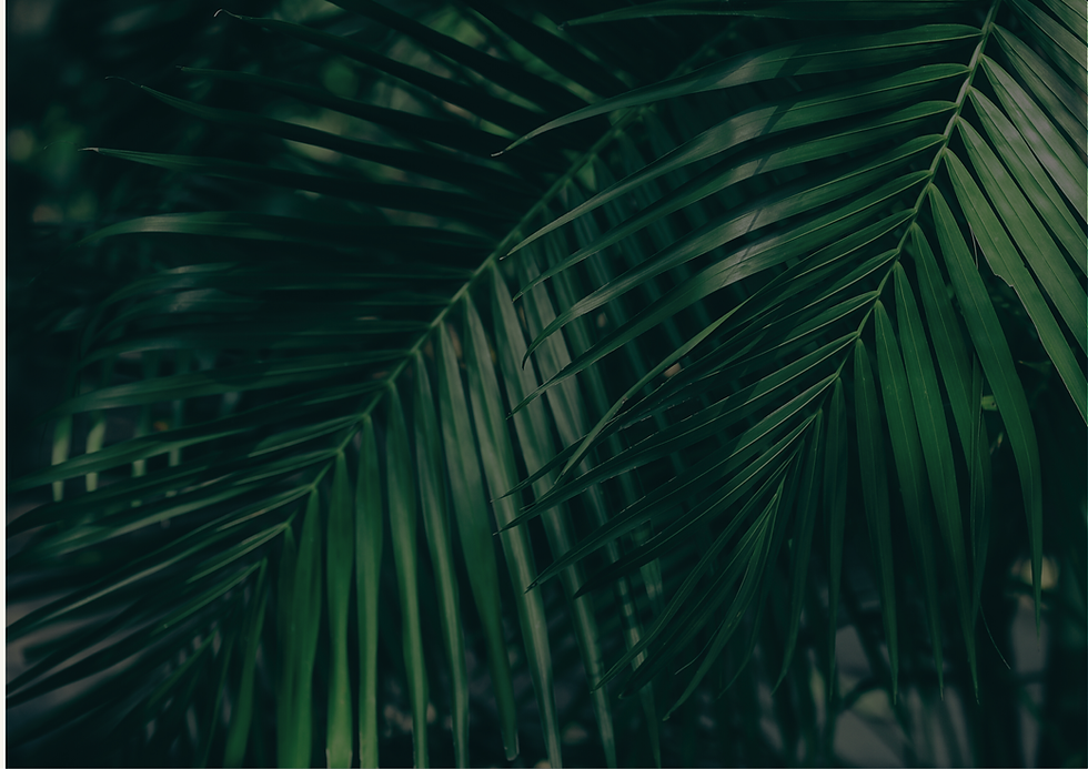 ATOS- instgaram size (A2 (Landscape)).png