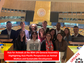 Asia for Animals at the 80th UN General Assembly: Highlighting Asia-Pacific Perspectives on Animal Welfare and Sustainable Development