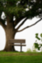 Cemetery Group | A model store, new systems and service redesigned around grief