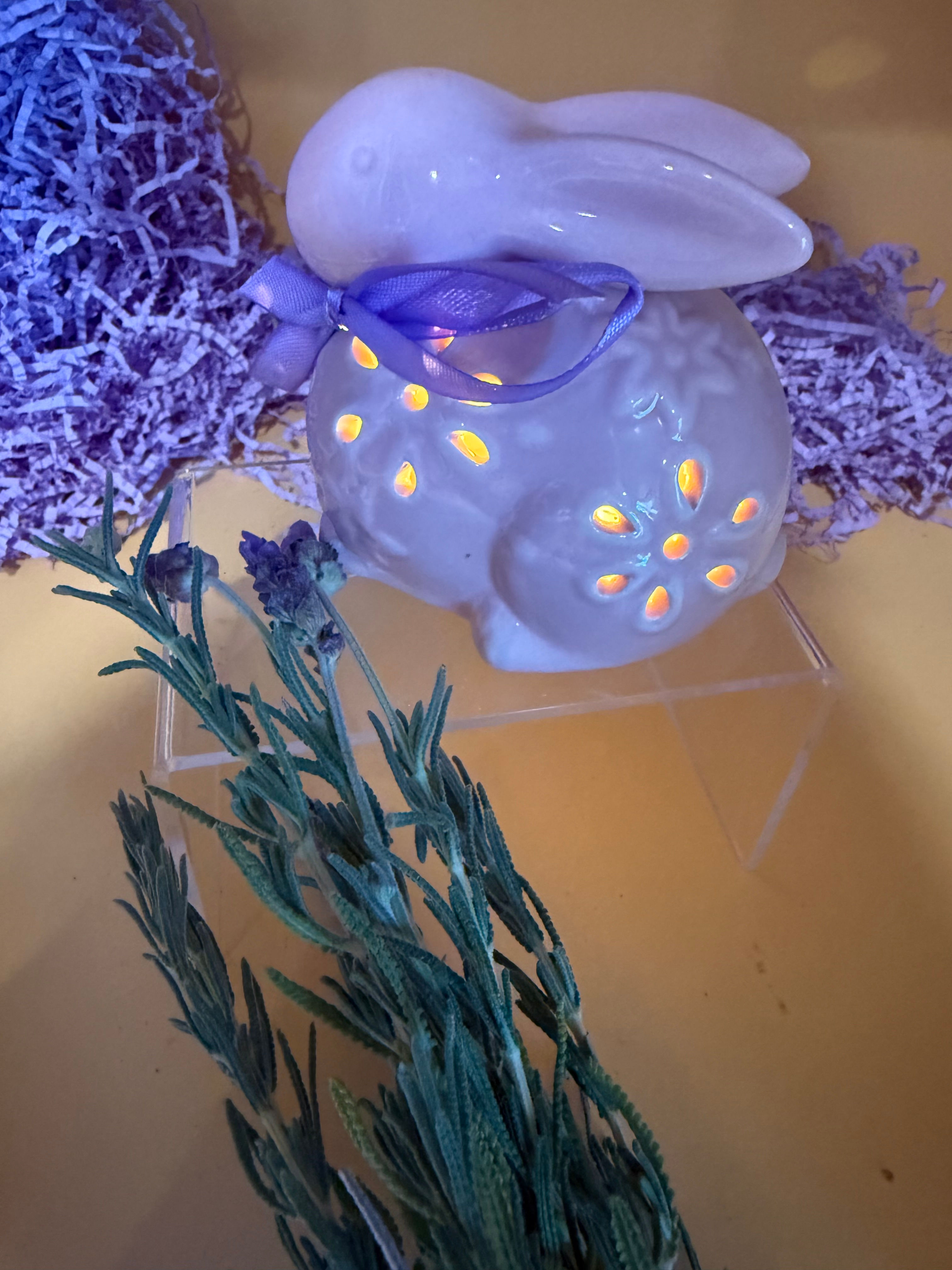 Beautiful Light Up Bunny
