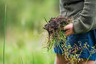 Woman holding clump of soil.jpg