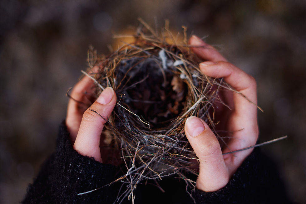 Woman holding empty bird nest.jpg