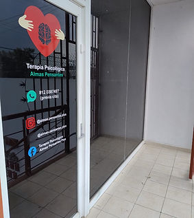 terapia psicologica almas pensantes san nicolas 2025, psicologos en san nicolas