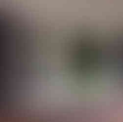 Completed bay window with replaced left-side sash, now clear and insulated.