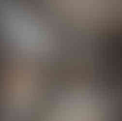 Large residential window glass replacement project in Potomac Maryland