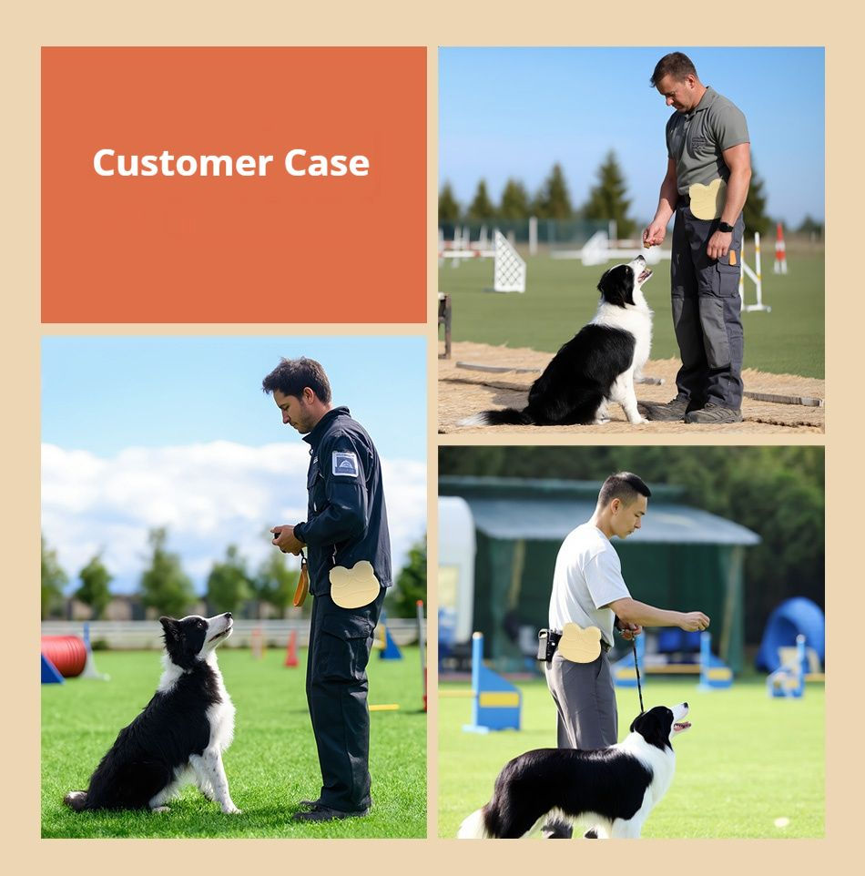 Miniatyrbilde: Pet Training Treat Pouch with Food-Grade Silicone 