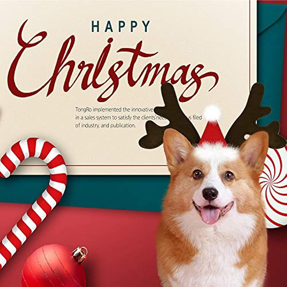 Μικρογραφία: Christmas Reindeer Antlers Headband 