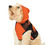 Thumbnail: ZH "Custom Print & Match your Hooman" Pet Hoodie 